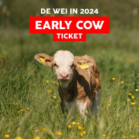 DE WEI IN 2024